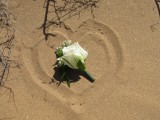 Namibia Hochzeit, Reise, Bilder, Fotos - img_0607.jpg